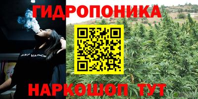 Альфа ПВП Берёзовский