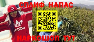 мяу мяу мука Беслан