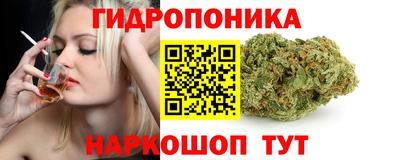 Альфа ПВП Берёзовский