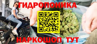 мяу мяу мука Беслан