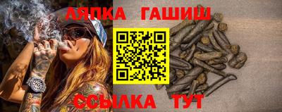 мяу мяу мука Беслан